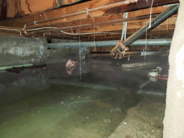  Fort Thomas, KY Water damage restoration Pros