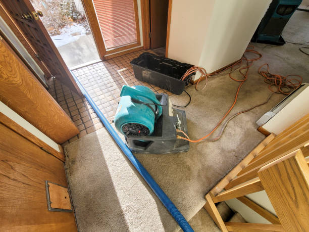 Best Flood damage cleanup  in Fort Thomas, KY