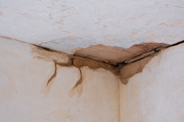 Best 24-hour water damage restoration  in Fort Thomas, KY