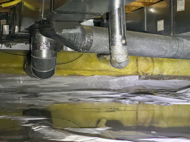 Best Flood restoration services  in Fort Thomas, KY