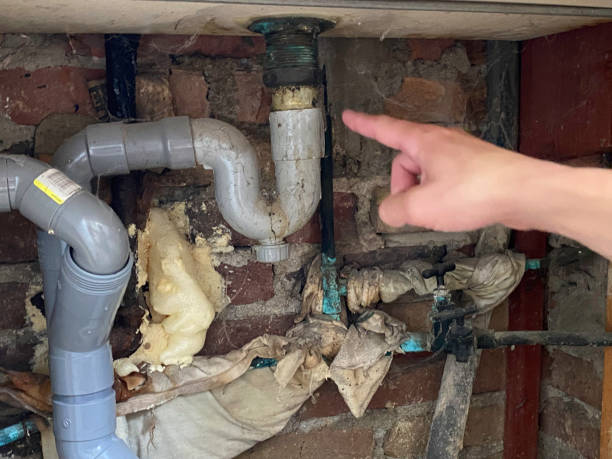 Best 24-hour water damage restoration  in Fort Thomas, KY